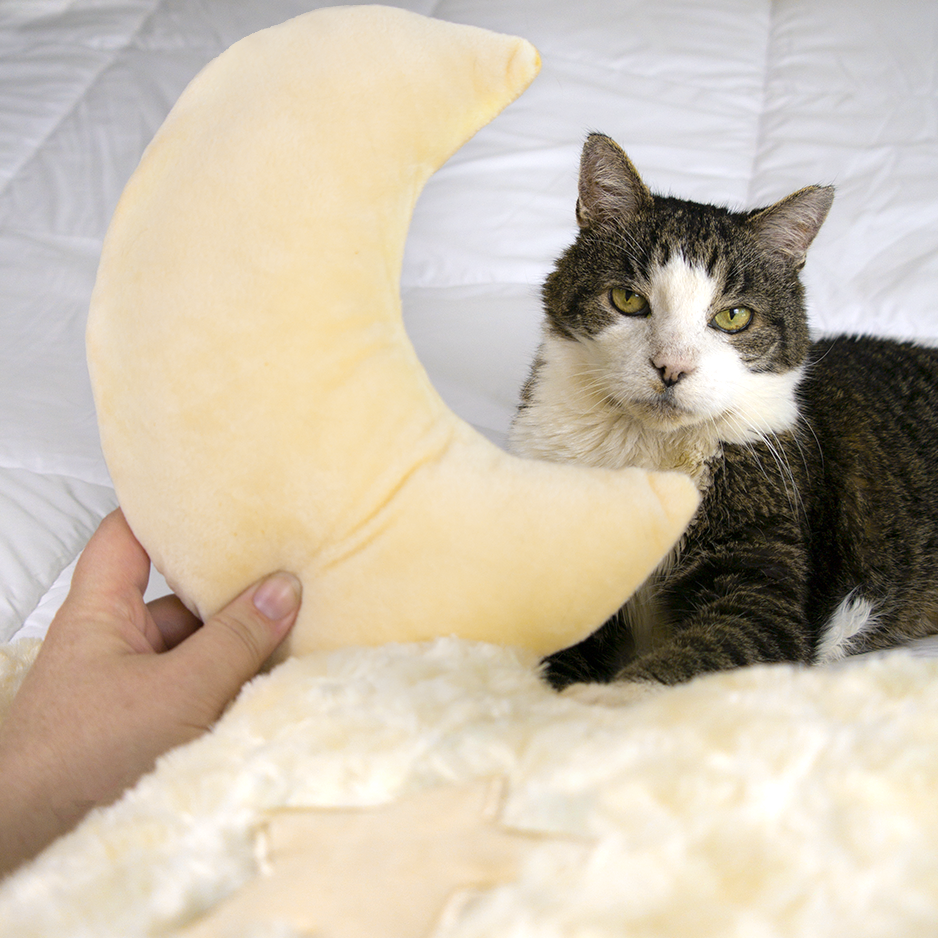 Luxe Cloud Cat Bed