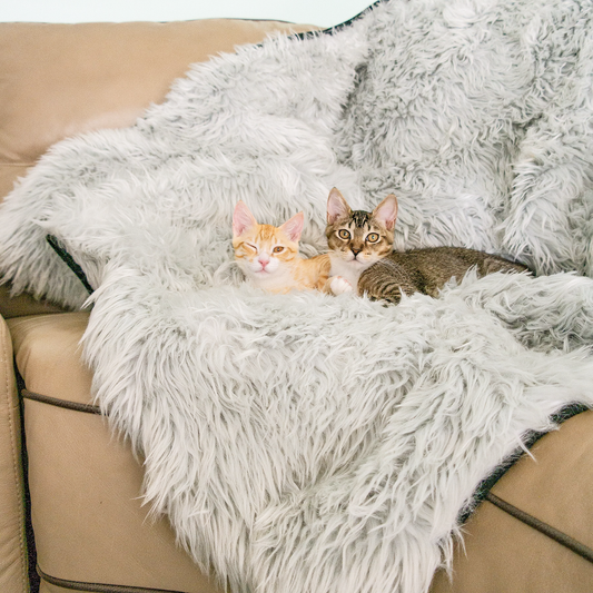 CatNap Anti-Scratch & Waterproof Throw Blanket - Grey