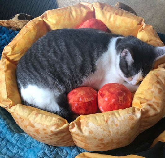 Cute Pizza Cat Bed