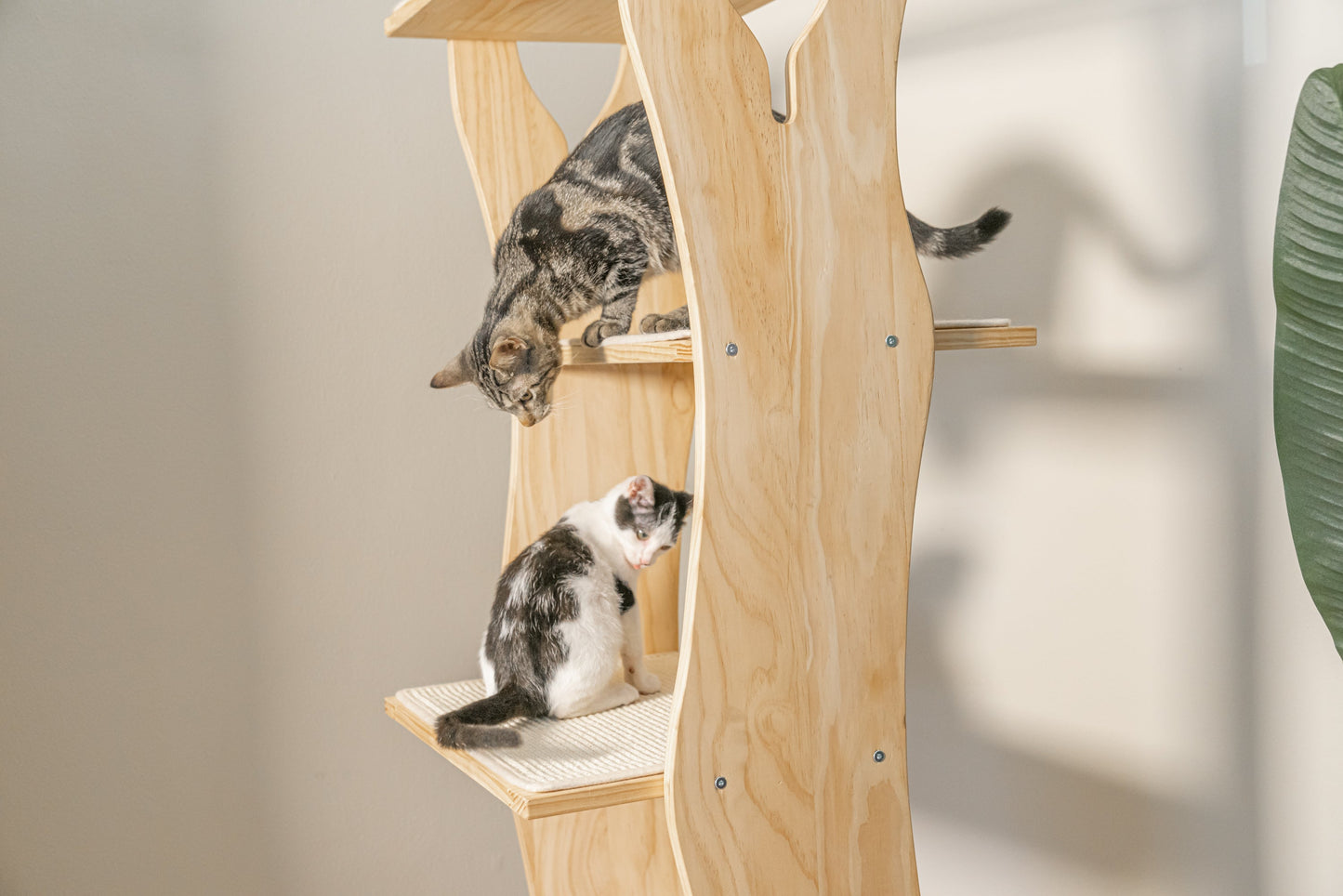 Mega Cat Tree