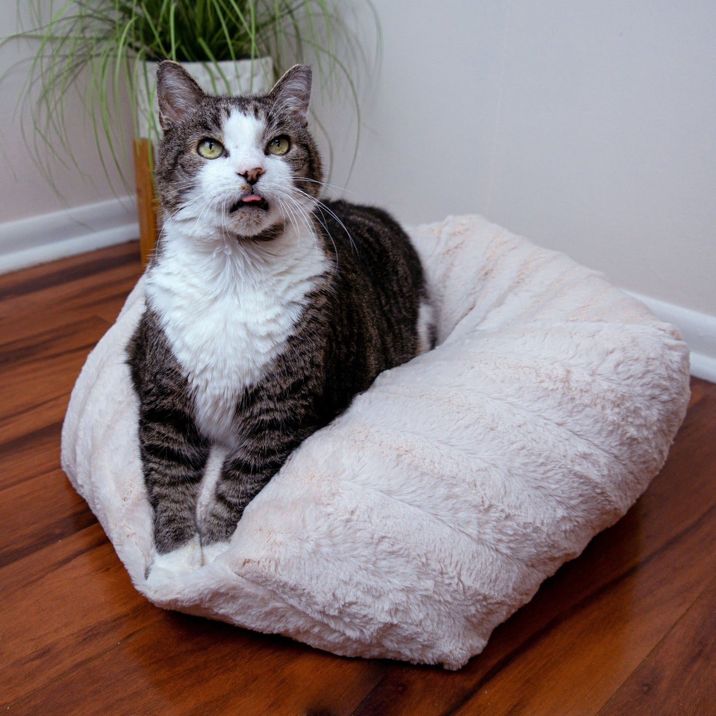 Pearl Pouf Cat Bed