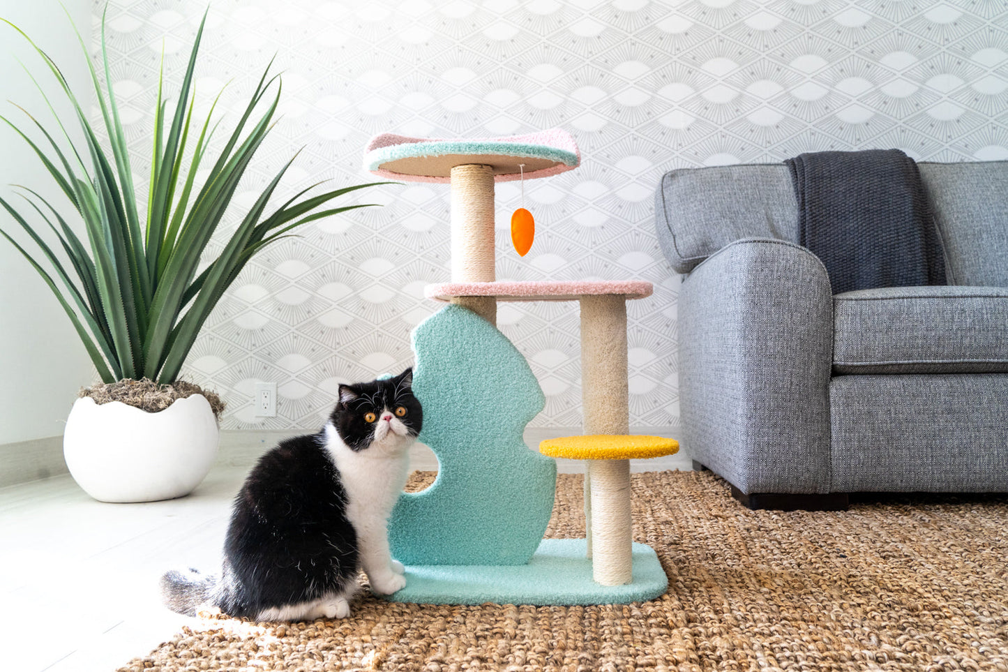 Cat Scratching Post