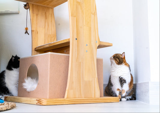 The Cozy Cove Mega Cat Tree Accessory