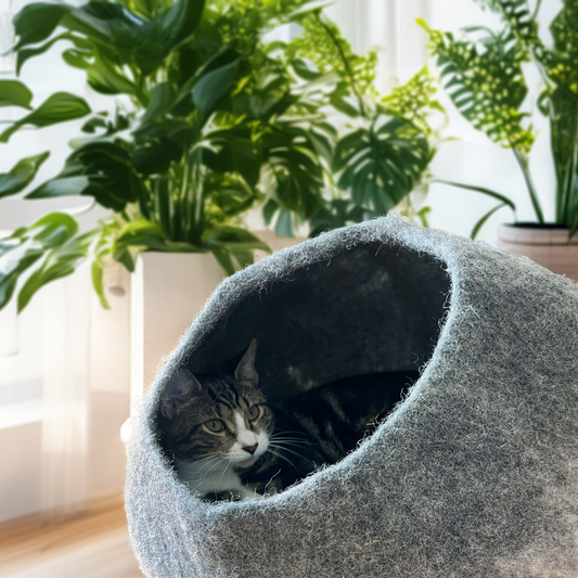Organic Wool Cat Cave - Pet Bed